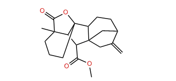 Gibberelline GA9 methyl ester